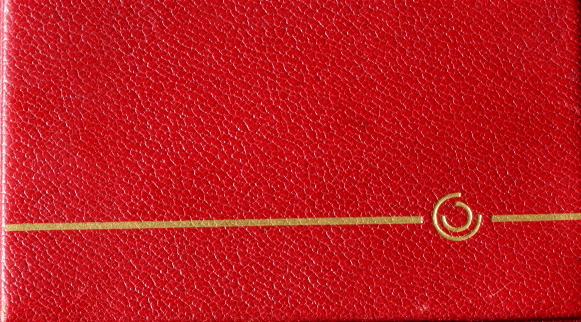 Kopie (1) von IMG_4873